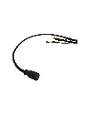 NA0073.2.webp