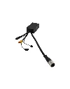 3.webp