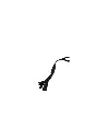 1.webp