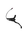 2.webp