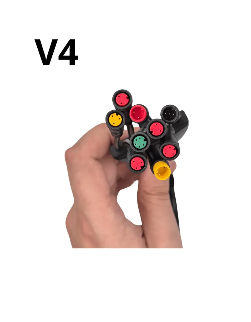 7.webp