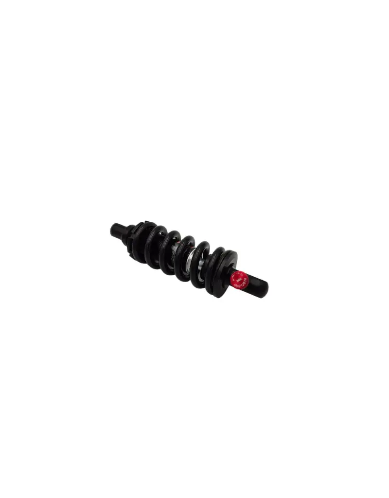 Suspension avant - Blast